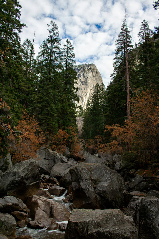 All Over Print Tote Bag Mist Trail Yosemite Nature Landscape Adventure Bag