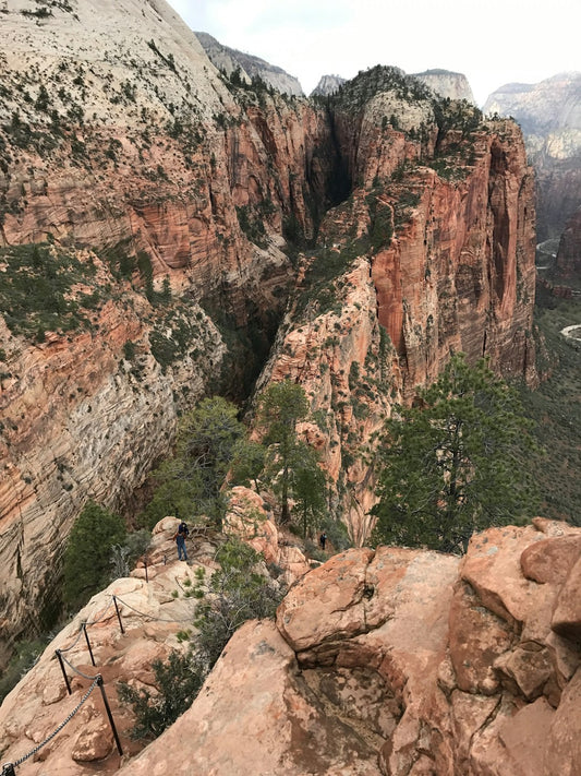 Angels Landing All-Over Print Hoodie Outdoor Adventure Apparel Travel Wear