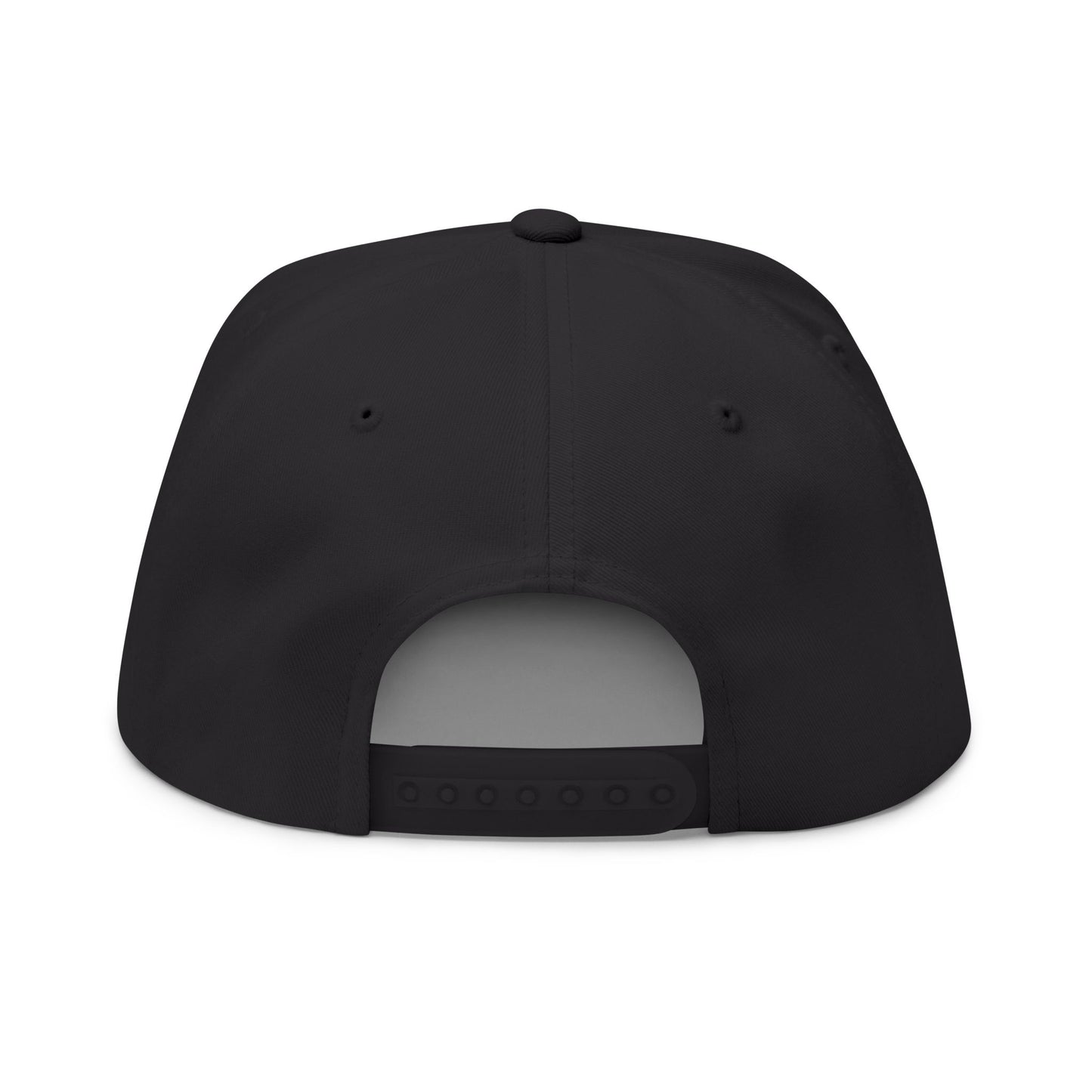 Mount Evans Colorado Flat Bill Cap, Outdoor Adventure Hat, Mountain Embroidered
