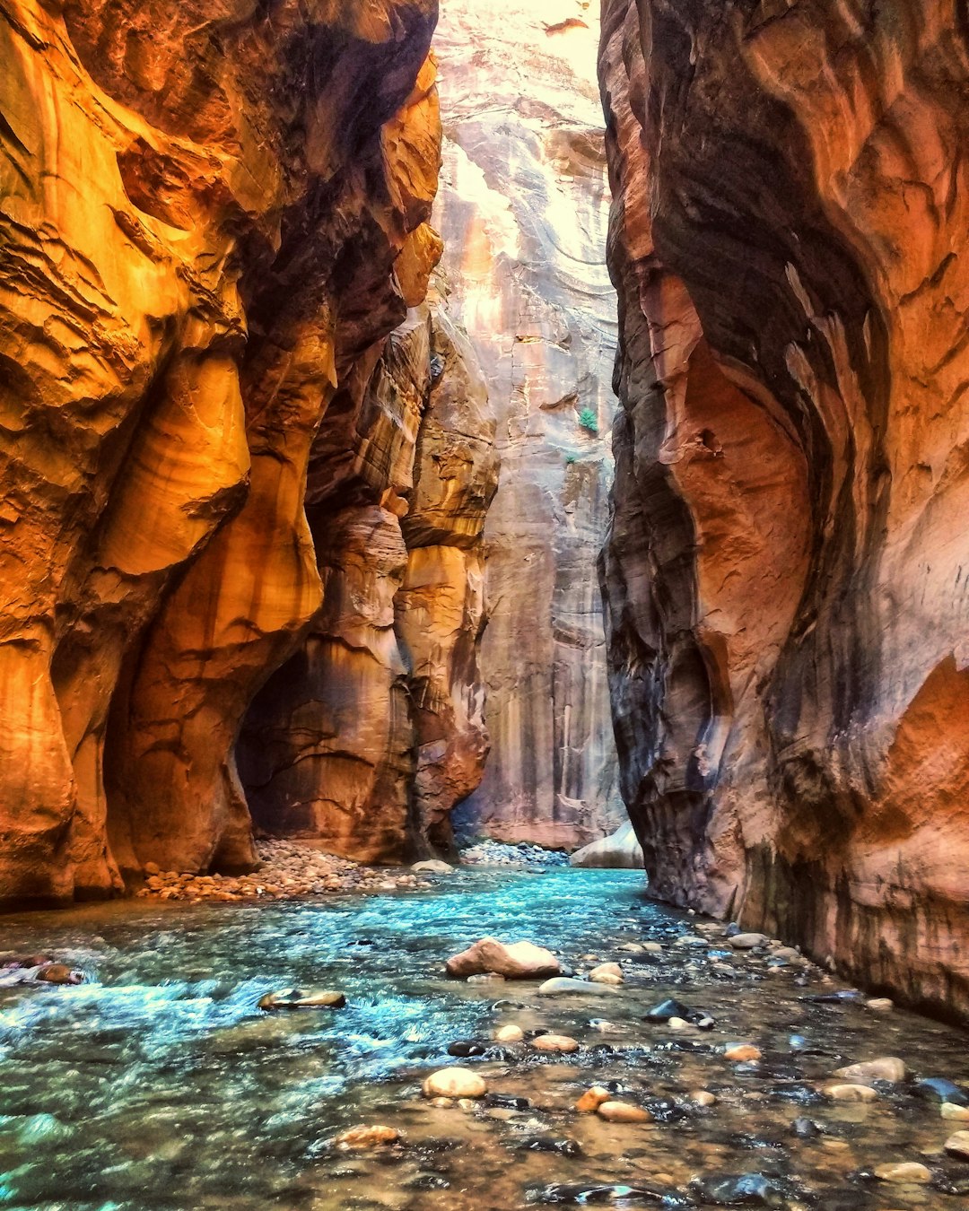 All-Over Print Hoodie featuring Stunning Zion National Park Landscape Design