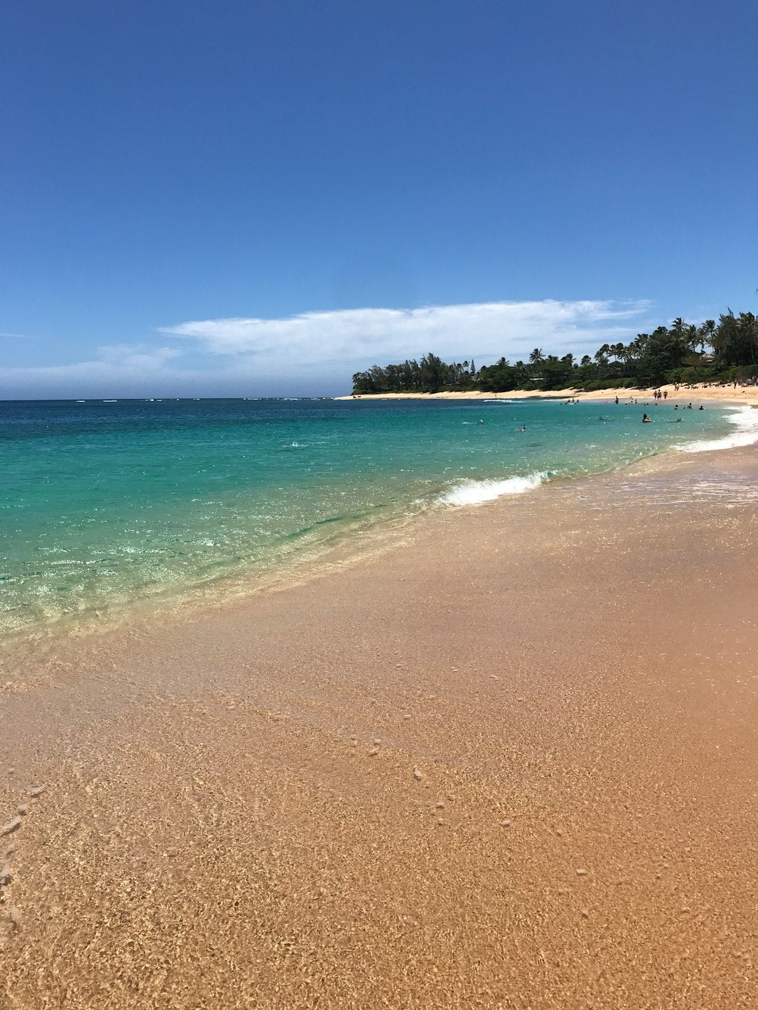 Catch the Breeze Fun Graphic T Shirt Summer Casual Unisex Short Sleeve Tee