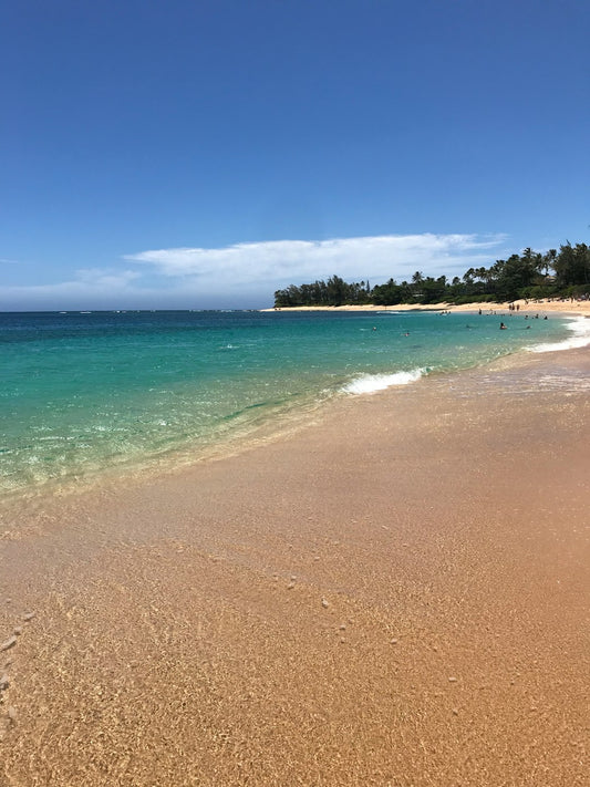 Catch the Breeze Fun Graphic T Shirt Summer Casual Unisex Short Sleeve Tee