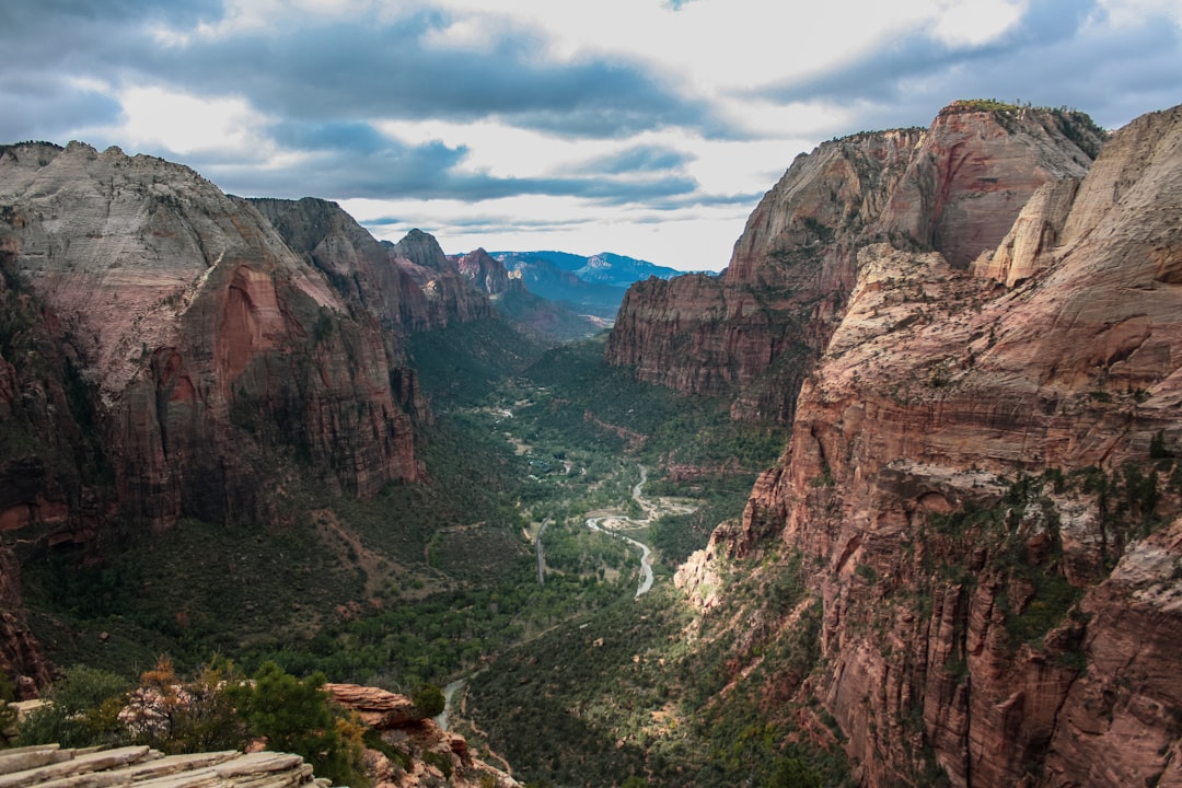 Angels Landing All-Over Print Hoodie Outdoor Adventure Apparel Travel Wear
