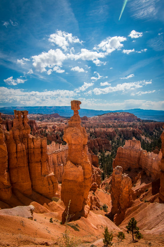 Bryce Canyon National Park Vintage Graphic Tee - T Shirt