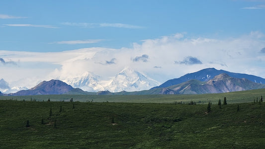 Denali Alaska All Over Print Tote Bag Landscape Nature Gift Travel Accessory