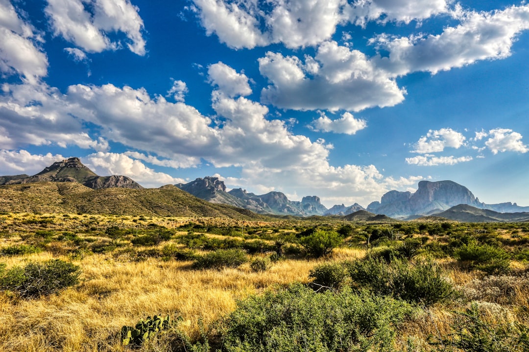 All-Over Print Hoodie featuring Big Bend National Park Landscape Art