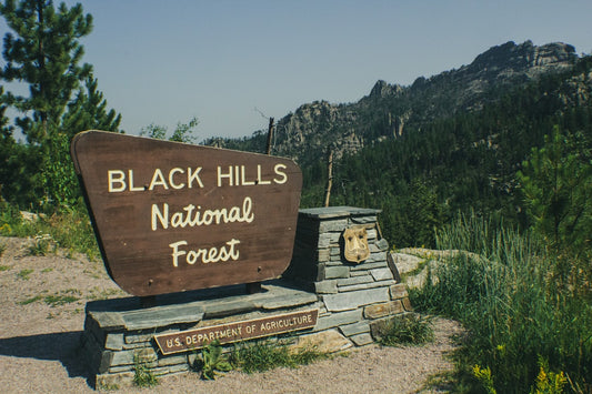 Black Hills Flat Bill Hat Outdoor Adventure Cap Adjustable Fit Unisex