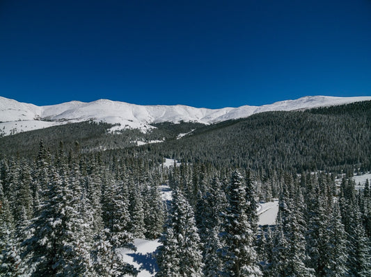 Breckenridge Colorado All Over Print Tote Bag Mountain Landscape Design Art