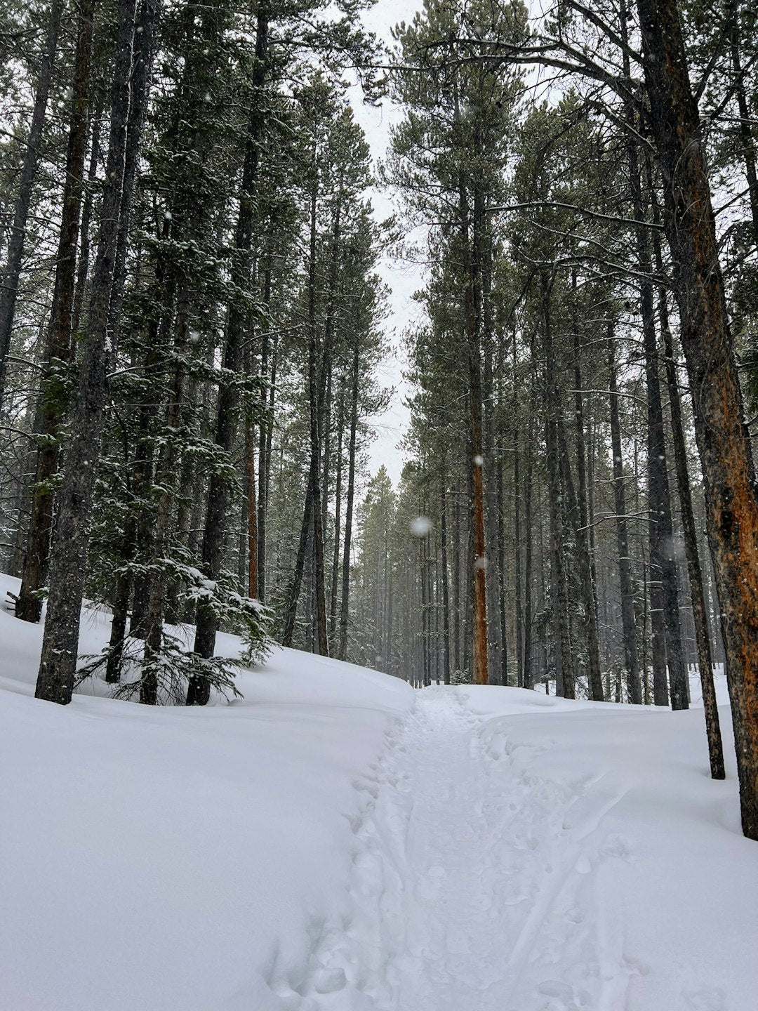Breckenridge Hoodie All Over Print Outdoor Apparel Travel Winter Casual Style
