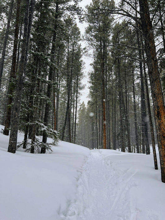 Breckenridge Hoodie All Over Print Outdoor Apparel Travel Winter Casual Style