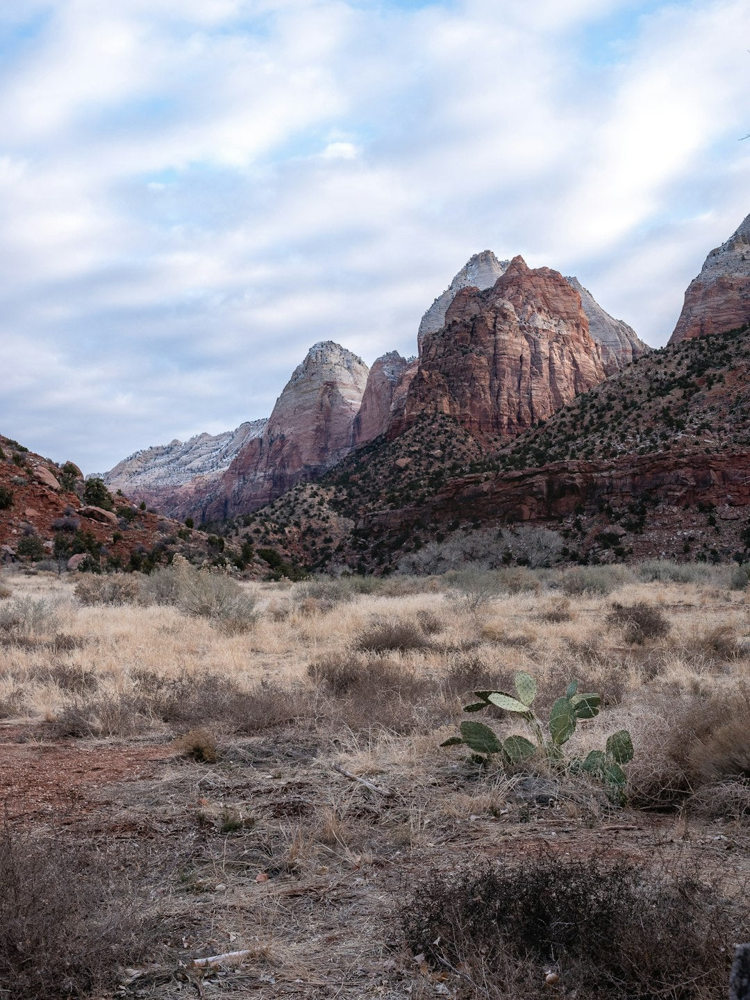 Angels Landing Zion National Park All Over Print Tote Bag Hiking Gift Apparel
