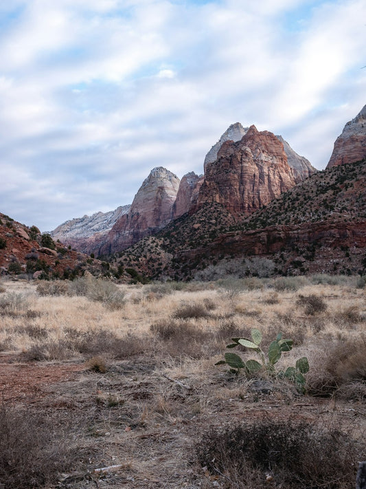 Angels Landing Zion National Park All Over Print Tote Bag Hiking Gift Apparel