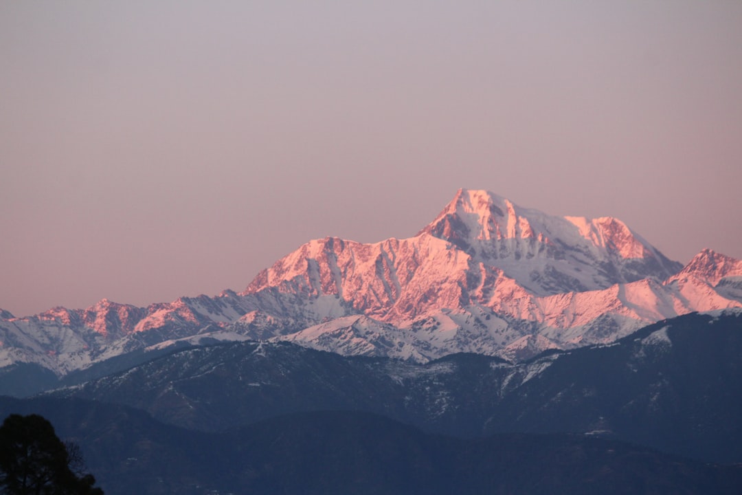 Chill Plane Puffer Jacket Stylish Outdoor Apparel Perfect for Cold Weather Cozy