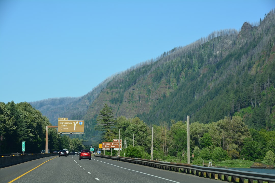 Bigfoot Believer Graphic T-Shirt for Fans of Cryptids and Adventure Casual Wear