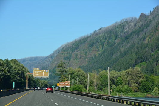 Bigfoot Believer Graphic T-Shirt for Fans of Cryptids and Adventure Casual Wear