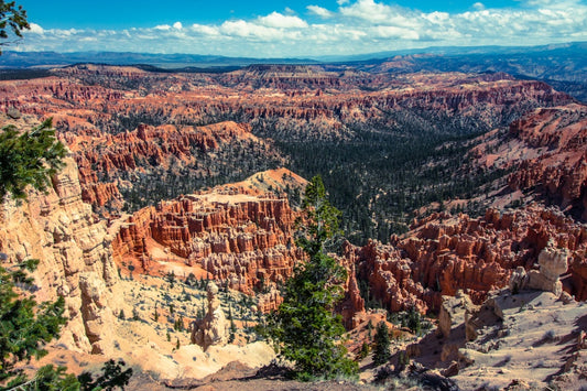 Bryce Canyon National Park Rero Graphic Tee  Unisex Heavy Cotton Shirt Tshirt