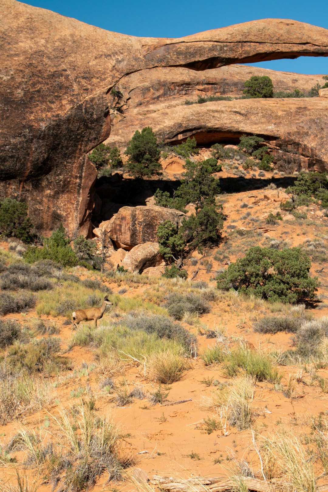 Arches National Park All Over Print Hoodie Style Outdoor Apparel Pullover Casual