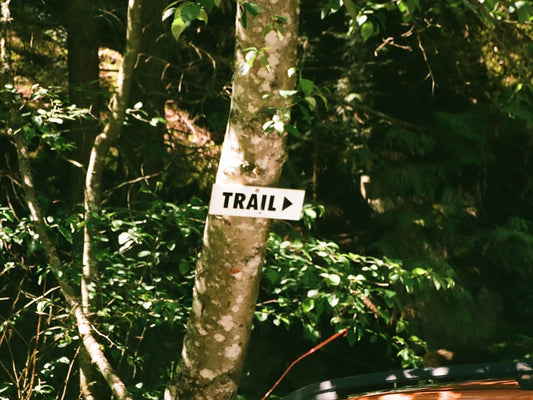 Camp Vibes No Wifi Just Good Trails Graphic Camping T-Shirt Outdoor Apparel