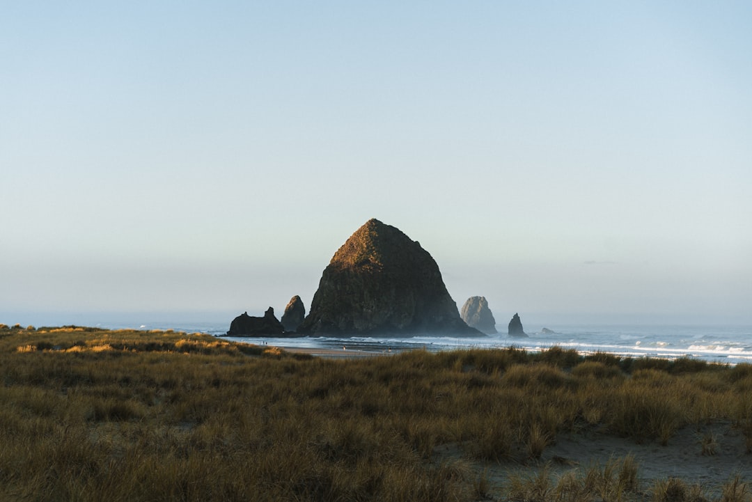 Cannon Beach Tote Bag All Over Print Coastal Art Ocean Scene Adventure Traveler