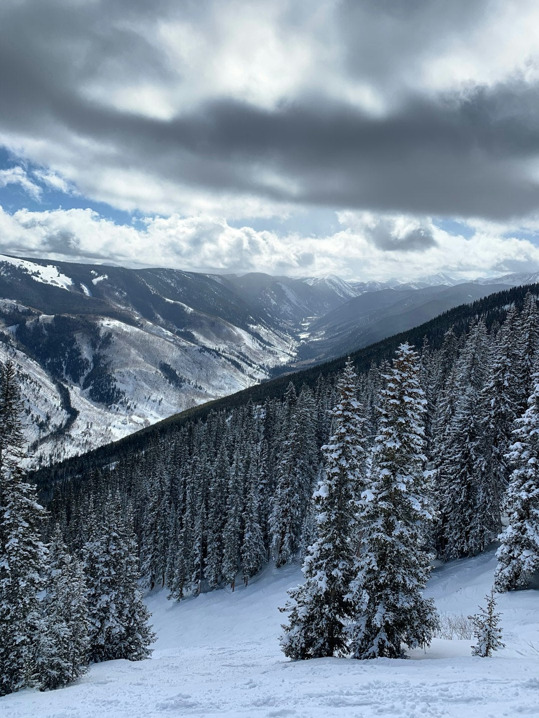 Aspen Landscape All Over Print Tote Bag Travel Shopping Eco Friendly Apparel