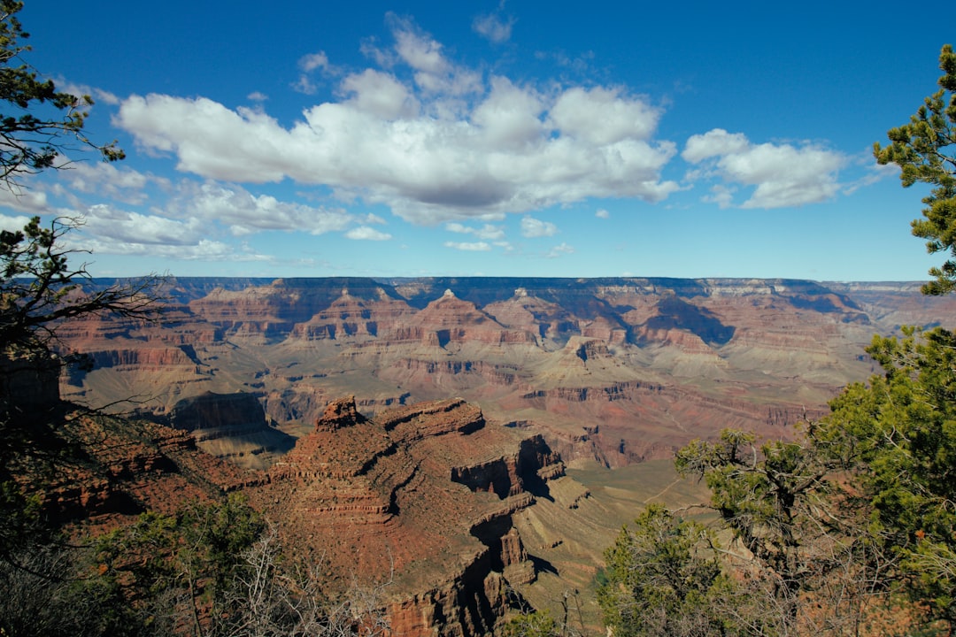 All-Over Print Hoodie Featuring Grand Canyon National Park Design