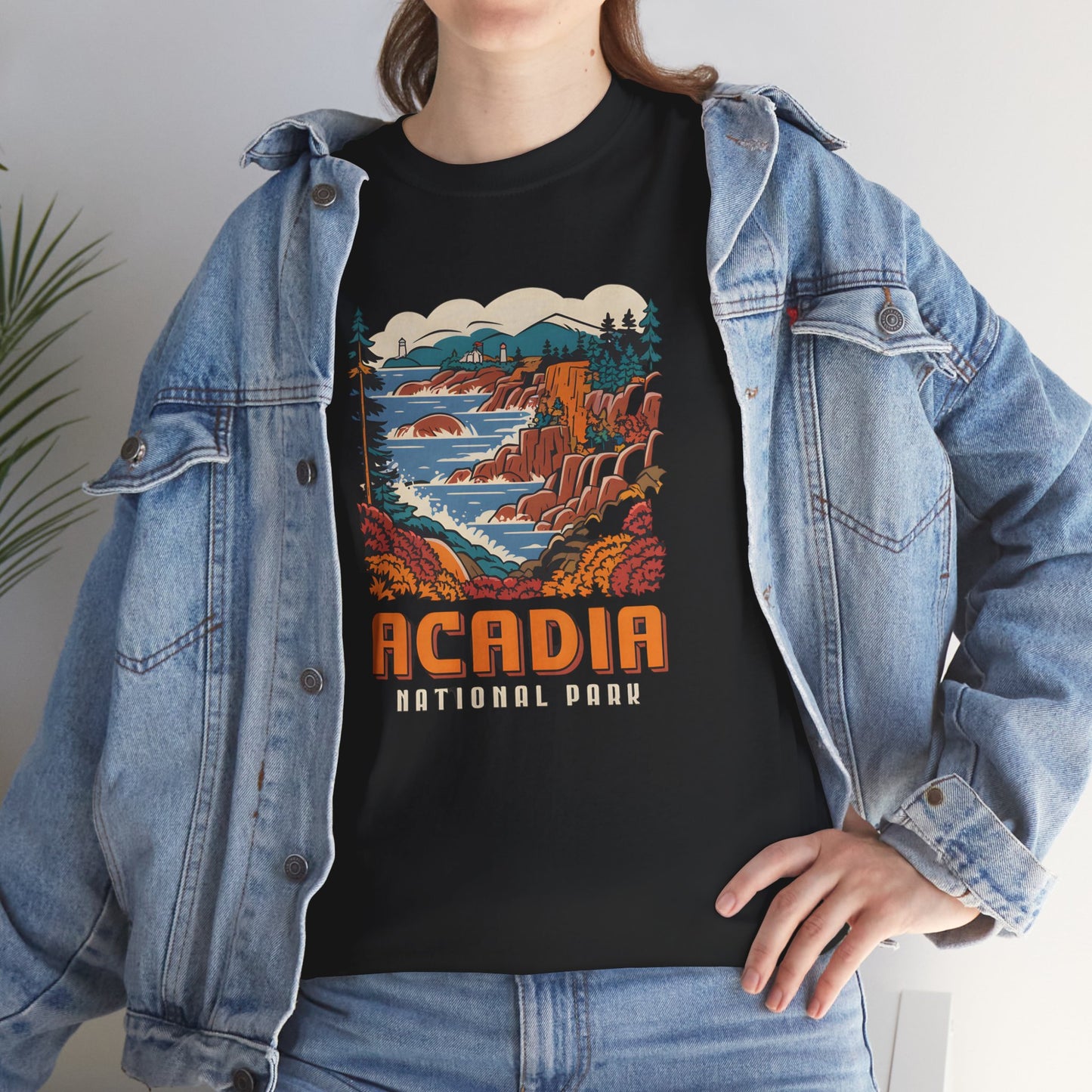 Acadia National Park Graphic T-Shirt Vintage Style Outdoor Adventure Apparel